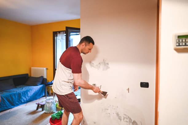 Best Localized Mold Remediation (e.g., coastal areas, humid climates) in Hurlock, MD